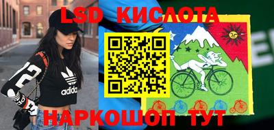крисы Нальчик