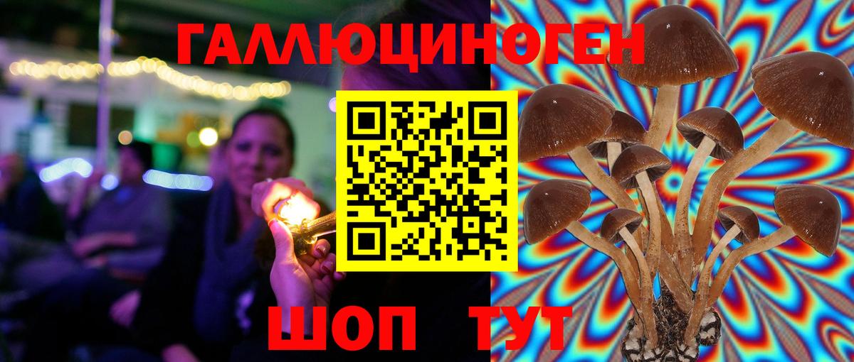 Пермь  Псилоцибиновые грибы ЛСД  Вход с VPN 
